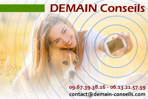Demain Conseils Demain Conseils