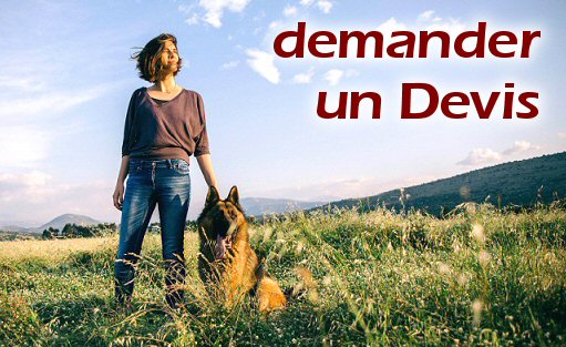 Demander un devis gratuit et sans engagement