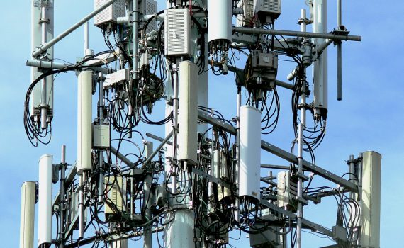 Notre système immunitaire affaibli par les ondes ?