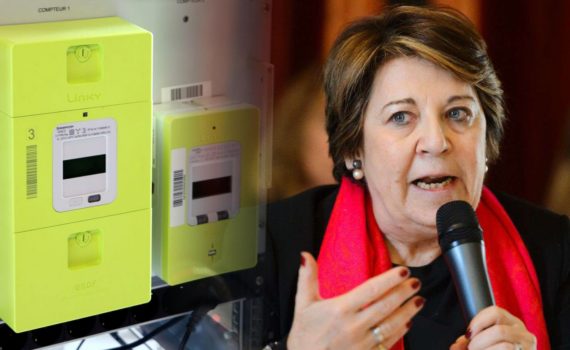 Corinne Lepage s'oppose à Linky