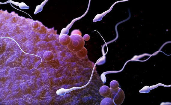 les ondes altèrent la qualité du sperme